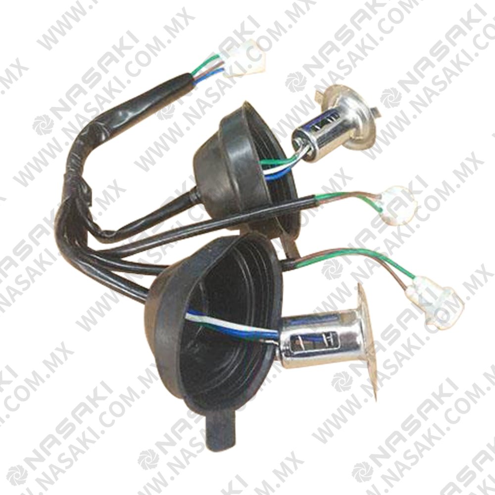 B1670000005P